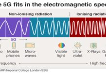 internet marketing services