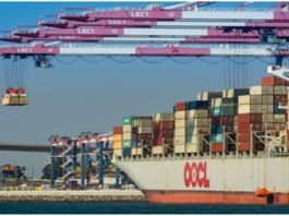 Impact of Technologies on the Import Export Business EPCG Schem