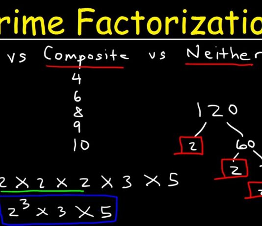 prime factorization