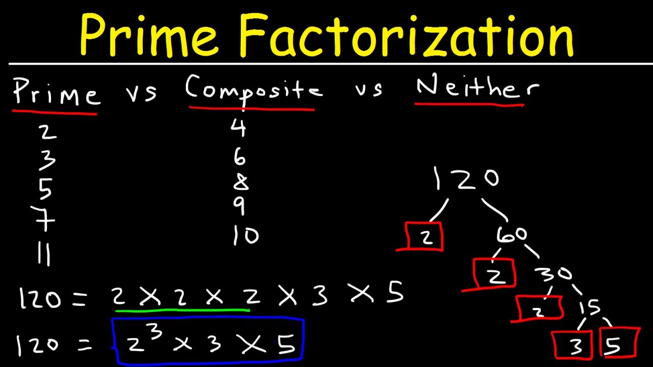 Prime Factorization Multiple Choice Worksheet