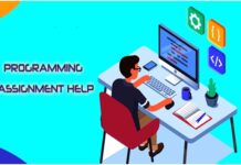 programming homework help