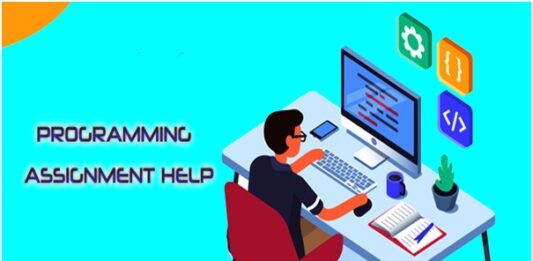 The Best Reasons To Hire Getting Programming Homework Help programming homework help