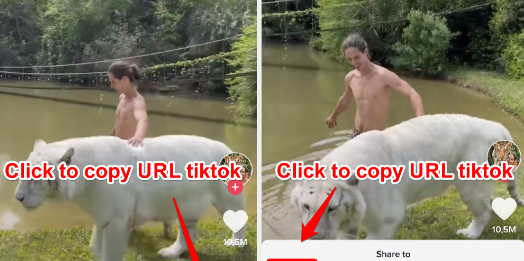 Method of downloading video TikTok without logo 2021 TikTok Downloader