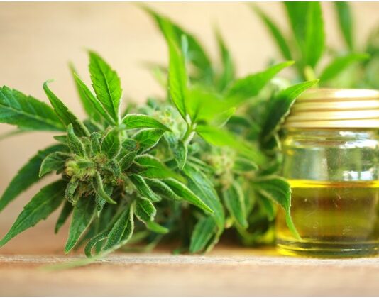 Is CBD Oil For Dogs Safe? CBD Oil