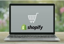 Shopify Development Company in Los Angeles