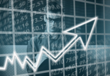 Zaki Ameer Became an Entrepreneur