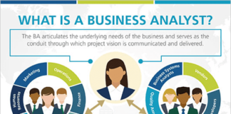 Business Analyst Roles